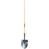 Pelle ronde Pro, Lame Acier durci, Bois, Manche Droit OCP Construction Supplies