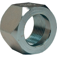 &eacute;crou hexagonal de minage Dixon, 1", Zingu&eacute;, Filetage NPT OCP Construction Supplies