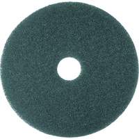 Tampon de nettoyage, 13", &agrave; r&eacute;curer, Bleu OCP Construction Supplies