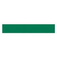 Write-On Magnetic Label, Magnetic, 600" L x 1" W OCP Construction Supplies