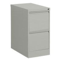 Classeur vertical, Acier, 2 tiroirs, 15-1/7" la x 25" p x 29" h, Gris OCP Construction Supplies