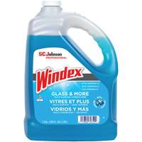 Nettoyant pour vitres Windex avec Ammoniac-D, 3,8 L, Cruche OCP Construction Supplies