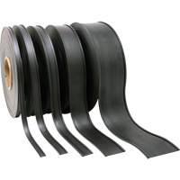 Porte-&eacute;tiquette, Magn&eacute;tique, 600" lo x 2" la OCP Construction Supplies