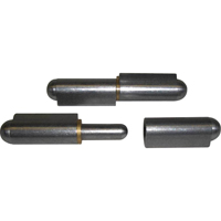 Weld-On Hinges