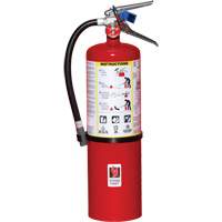 Extincteur d'incendie, ABC, Capacit&eacute; 10 lb OCP Construction Supplies