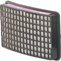Speedglas Respiratory Protection-replacement Filters & Cartridges, P100 Filter, Pack of 2 OCP Construction Supplies