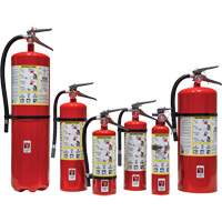 Fire Extinguisher, ABC, 30 lbs. Capacity OCP Construction Supplies