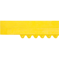 Rampe de bordure pour tapis OCP Construction Supplies