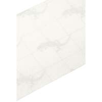 Ruban antid&eacute;rapant de premi&egrave;re qualit&eacute;, 4" x 60', Transparent OCP Construction Supplies