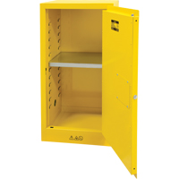 Armoire pour produits inflammables, 16 gal., 1 Porte(s), 23" La x 44" h x 18" p OCP Construction Supplies
