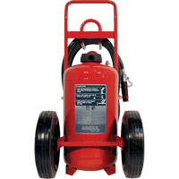 Extincteurs Red Line sur roues, BC, Capacit&eacute; 125 lb OCP Construction Supplies