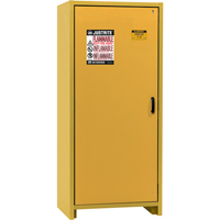 30-Minute EN Safety Storage Cabinet, 30 gal., 1 Door, 34.02" W x 76.65" H x 24.21" D OCP Construction Supplies