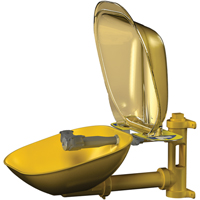 Halo Eyewash Stations, Wall-Mount Installation, Plastic Bowl OCP Construction Supplies