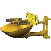 Halo Face/Eyewash Stations, Wall-Mount Installation, Plastic Bowl OCP Construction Supplies