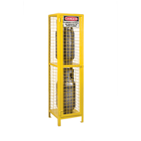 Armoires pour cylindres &agrave; gaz, nbre de bouteilles: 2, 17" , 17" , 69" , Jaune OCP Construction Supplies