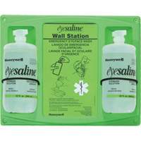 Support mural pour solution saline de douche oculaire, Double OCP Construction Supplies