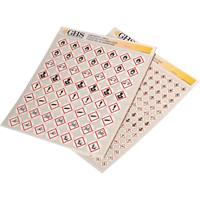 Assortiment d'&eacute;tiquettes avec pictogrammes sgh, Vinyle, Feuille, 1" lo x 1" la OCP Construction Supplies