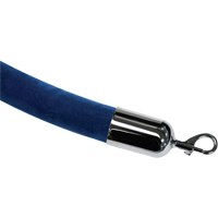Crowd Control Ropes