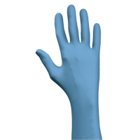 Gants N-Dex 7500PF, Petit, Nitrile, 4 mils, Sans poudre, Bleu OCP Construction Supplies