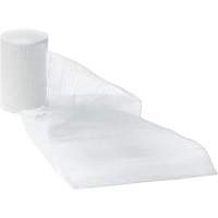 Bandages de gaze Dynamic, Rouleau, 15' lo x 1" la, St&eacute;rile, Dispositif m&eacute;dical Classe 1 OCP Construction Supplies