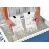 Sachets pour veste de refroidissement &agrave; changement de phase 6260 Chill-Its OCP Construction Supplies