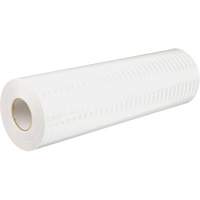 High Intensity Prismatic Grade Reflective Sheeting, 2" W x 150' L, 19 mils, White OCP Construction Supplies