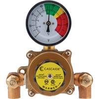 Mixing Valve for Exposed Assembly of Eye/Facewash, 9 gpm OCP Construction Supplies