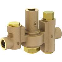 Mid-Capacity Thermostatic Mixing Valve for Individual Eye/Face Wash Stations, 2 - 35.1 GPM OCP Construction Supplies