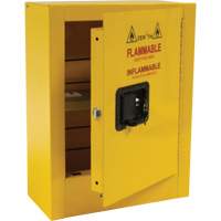 Armoire de s&eacute;curit&eacute; miniature pour produits inflammables, 2 gal., 1 Porte(s), 17" La x 22" h x 8" p OCP Construction Supplies