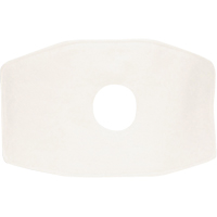 North&reg; Replacement Filter, Particulate Filter, N99 Filter OCP Construction Supplies