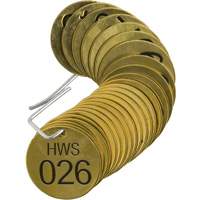 Numbered "HWS" Valve Tags, # 026-050, Brass, 1.5" dia OCP Construction Supplies
