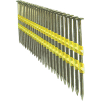 Clous ordinaires OCP Construction Supplies