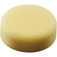 Polishing Pad, 3" Dia. OCP Construction Supplies