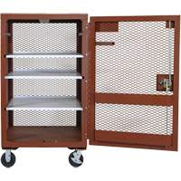 Mobile Mesh Cabinet, Steel, 22 Cubic Feet, Red OCP Construction Supplies