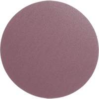 PSA Cloth Disc 348D, 12" Dia., 60 Grit, Aluminum Oxide, X-Weight OCP Construction Supplies