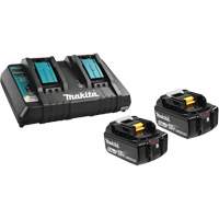Ensemble de batterie au lithium-ion & chargeur &agrave; double port, 18 V, Lithium-ion OCP Construction Supplies