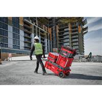 Coffre &agrave; outils roulant Packout, 15-4/5" x 34" x 28", Rouge OCP Construction Supplies