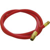 Tuyau de raccordement pour d&eacute;vidoir de tuyau, Air, Caoutchouc EDPM, 1/2" dia. x 5', 300 psi, 1/2 NPT OCP Construction Supplies