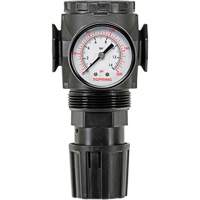MODULAIR 300 Zinc Diaphragm Regulator, 3/8" NPT, 300 psi Max. PSI, In Line/Modular OCP Construction Supplies