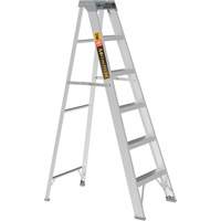 Escabeau, 6', Aluminium, Capacit&eacute; 225 lb, Type 2 OCP Construction Supplies
