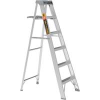 Escabeau avec plateau &agrave; peinture, 6', Aluminium, Capacit&eacute; 225 lb, Type 2 OCP Construction Supplies