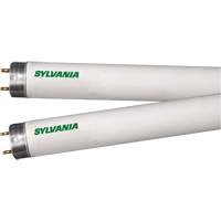 Lampes fluorescentes, 32 W, T8, 4100 K, Longueur de 48" OCP Construction Supplies