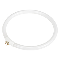 Ampoule fluorescente de rechange pour lampes-loupes Rhinomag, 22 W OCP Construction Supplies