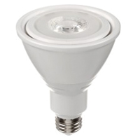 Ampoule DEL, PAR30, 10 W, 800 lumens, base Moyen OCP Construction Supplies