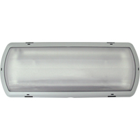 Luminaire de secours Tempesta, Plastique, DEL, 120 - 347 V OCP Construction Supplies