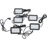 LED String Work Lights, 5 Lights, 50' L, Plastic Housing OCP Construction Supplies