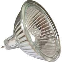Ampoule de rechange MR16 OCP Construction Supplies