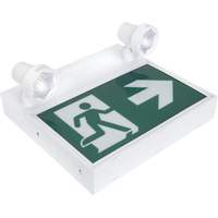 Enseigne d'homme qui court avec &eacute;clairage de s&eacute;curit&eacute;, DEL, &agrave; piles/&agrave; raccordement fixe, 12-1/10" lo x 11" la, Pictogramme OCP Construction Supplies