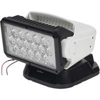 Projecteur orientable polyvalent &agrave; t&eacute;l&eacute;commande, DEL, 4250 lumens OCP Construction Supplies