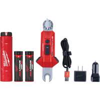Lampe USB polyvalente REDLITHIUM pour perche isolante, DEL, Piles Rechargeable, Aluminium OCP Construction Supplies